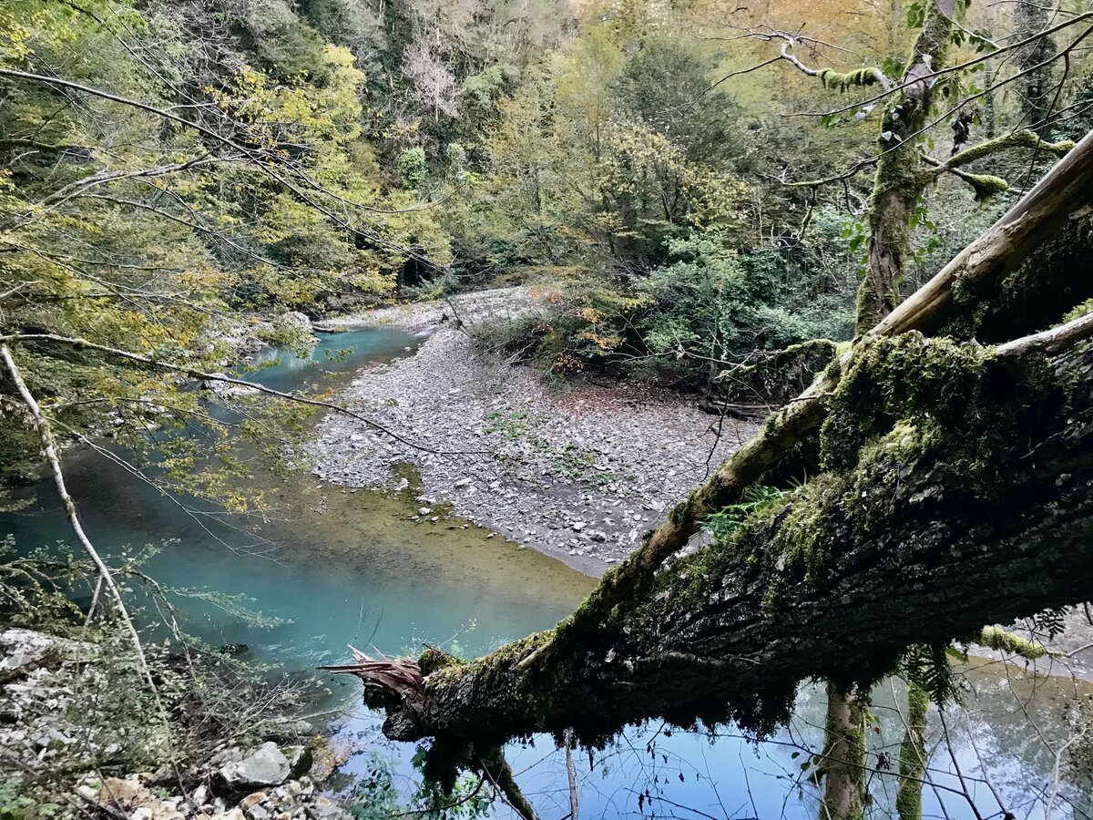 Листайте галерею, река Хоста