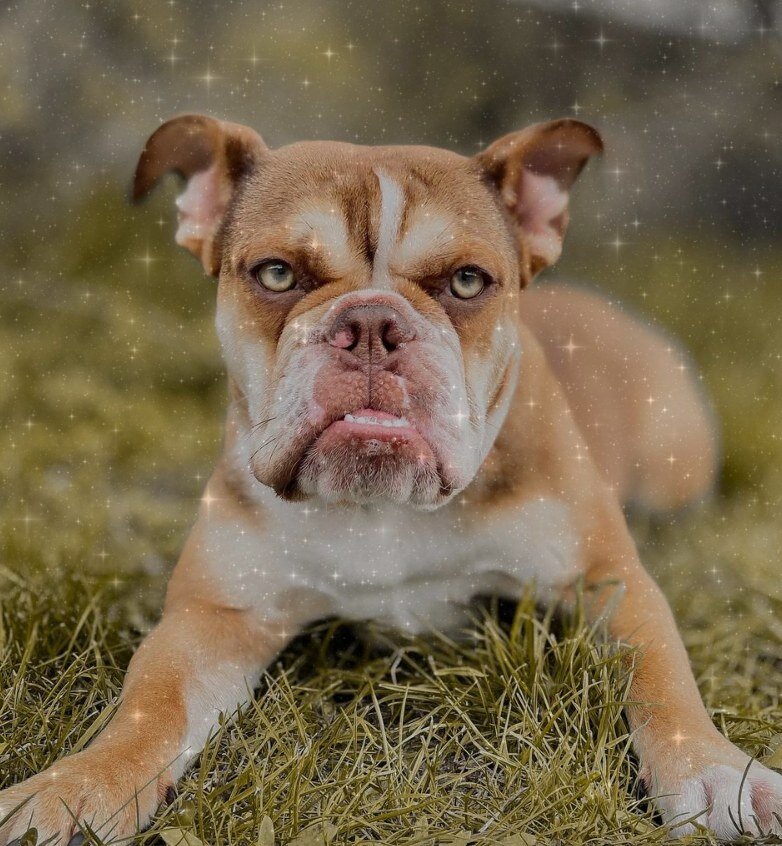 фото: https://www.instagram.com/p/CNRyl9gHOqC/