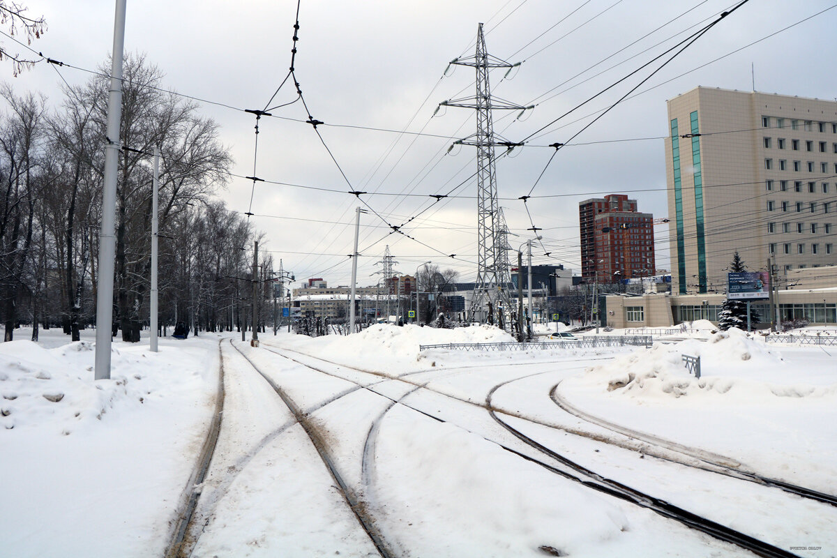 Фото: Виктор Орлов