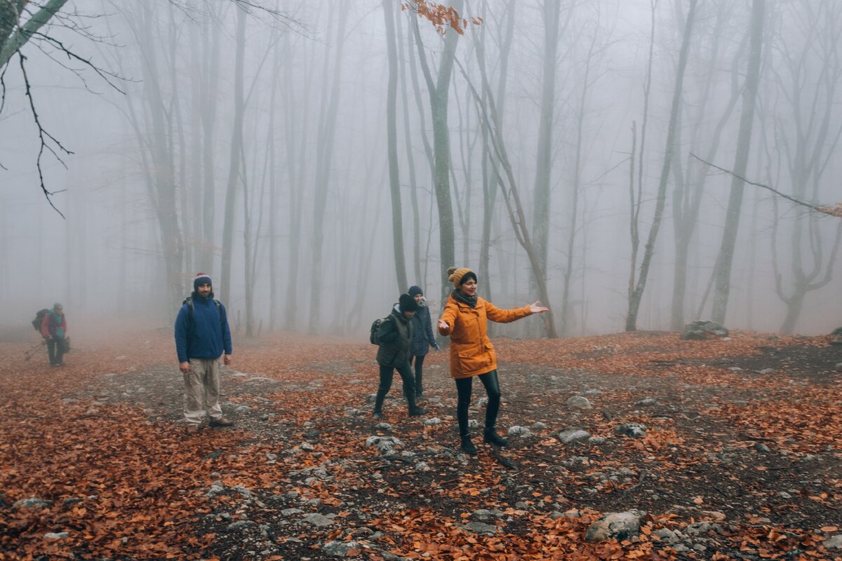 Дорога у домика