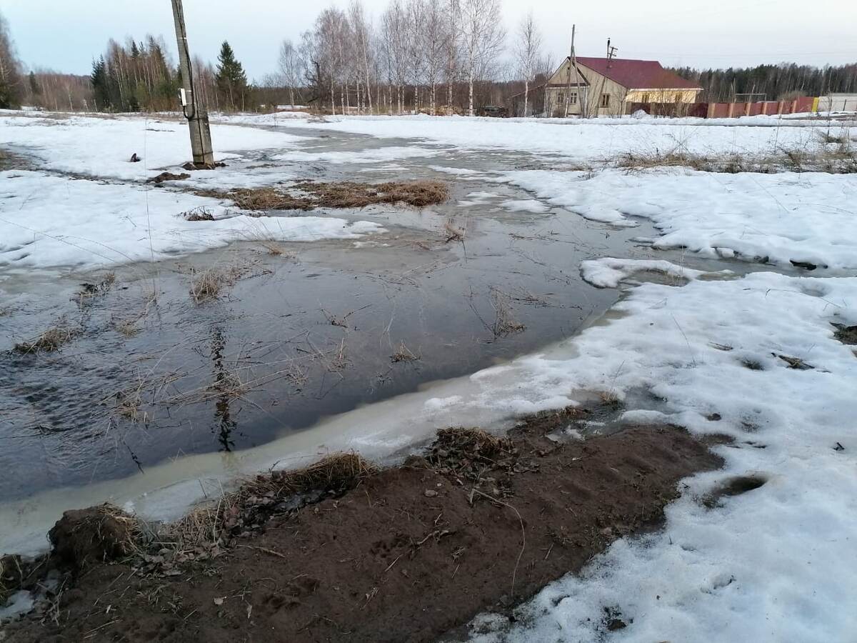 Настоящая река, прямо рядом с нашим участком