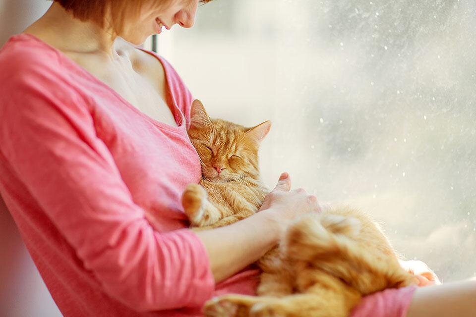 Фото из первоисточника. Мерси Автору!