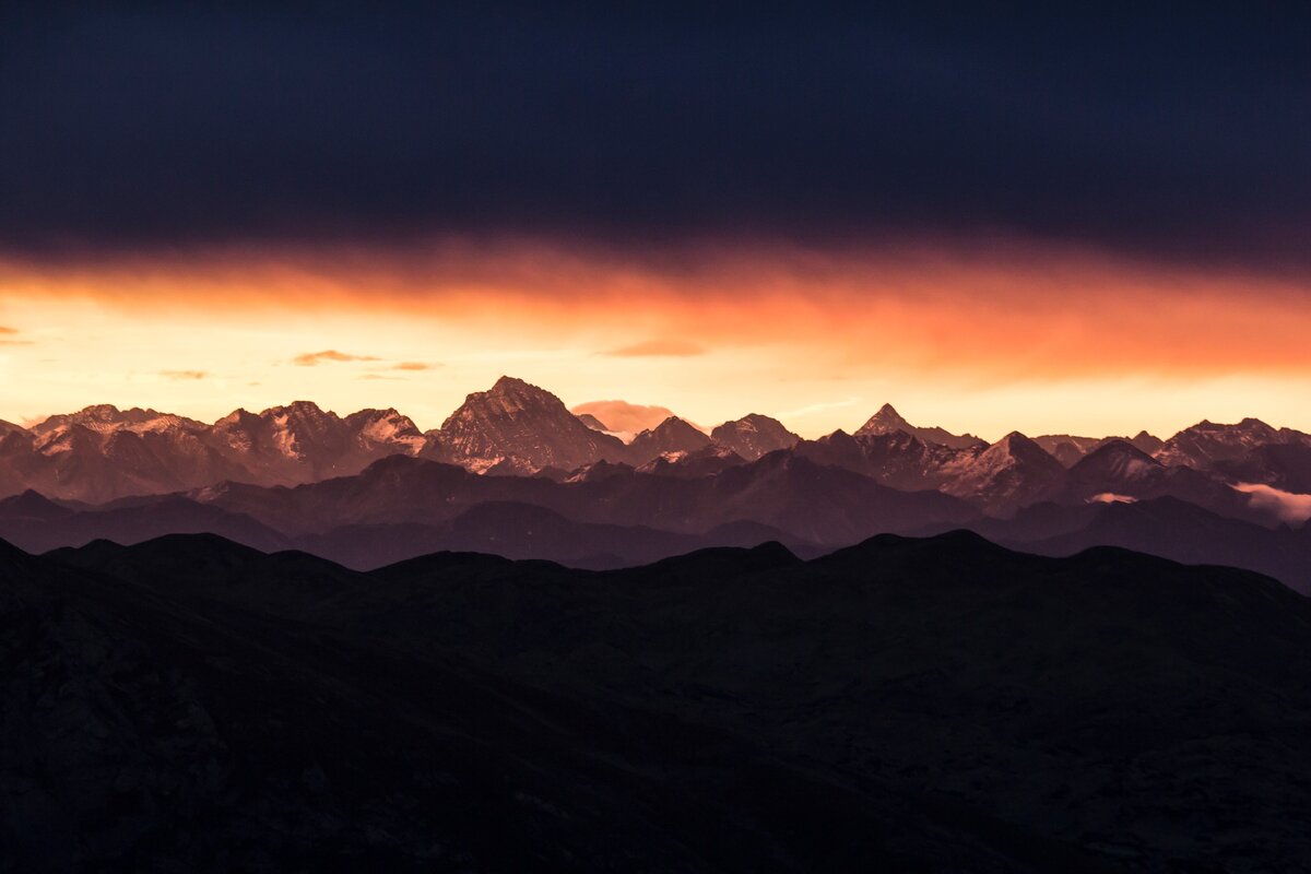Фото из открытого источника https://unsplash.com/