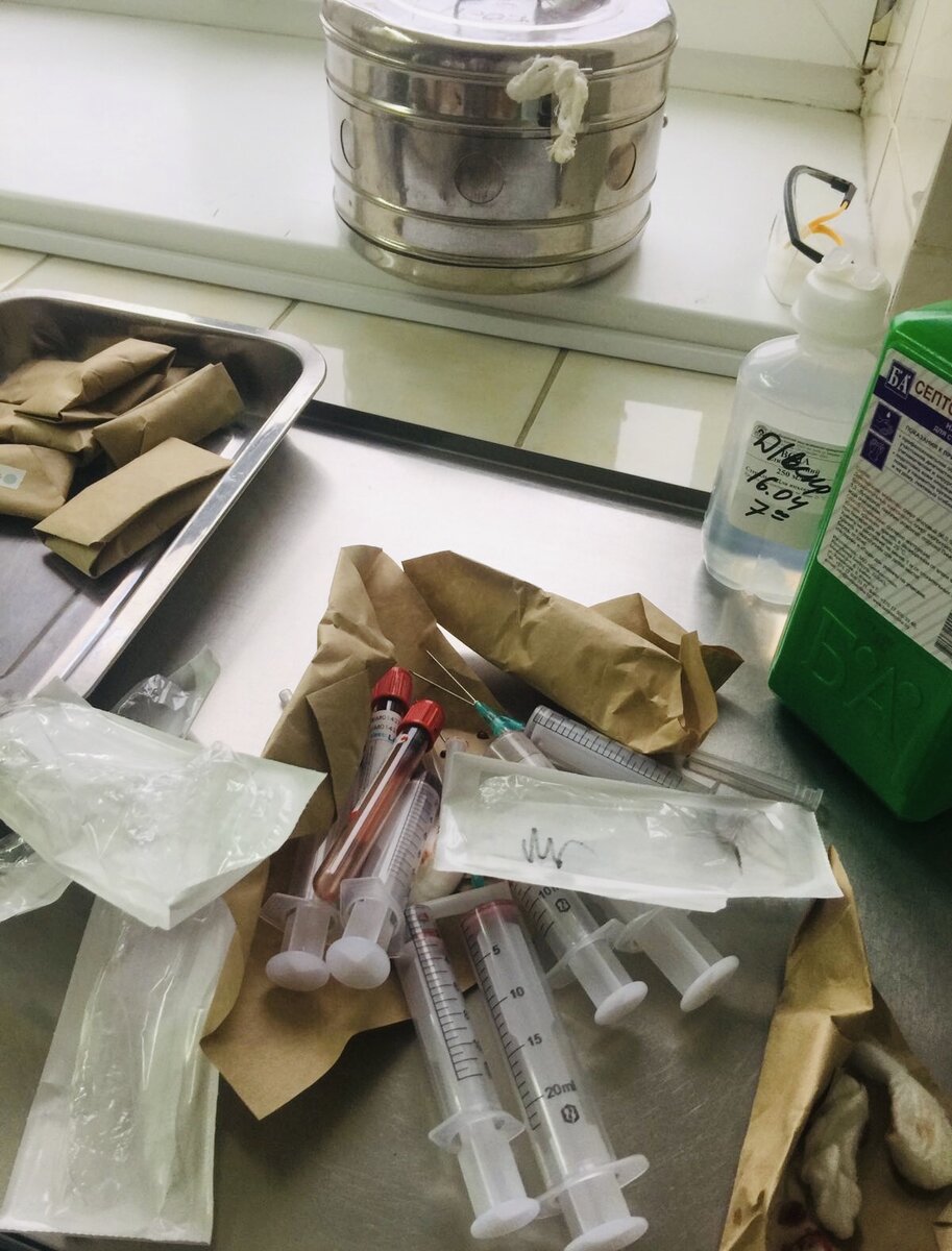 "Кошмары вакцинации" в действии. Раскол в обществе