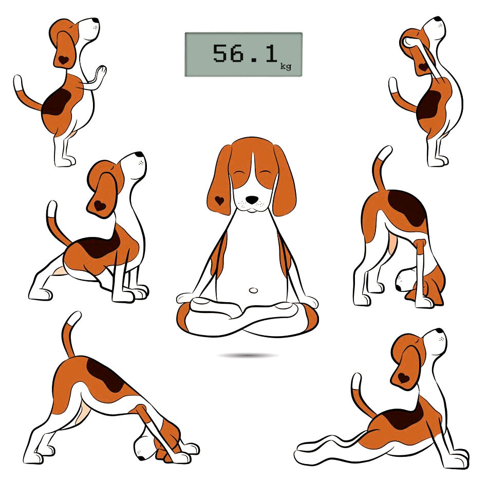 Ну, не красота ли!