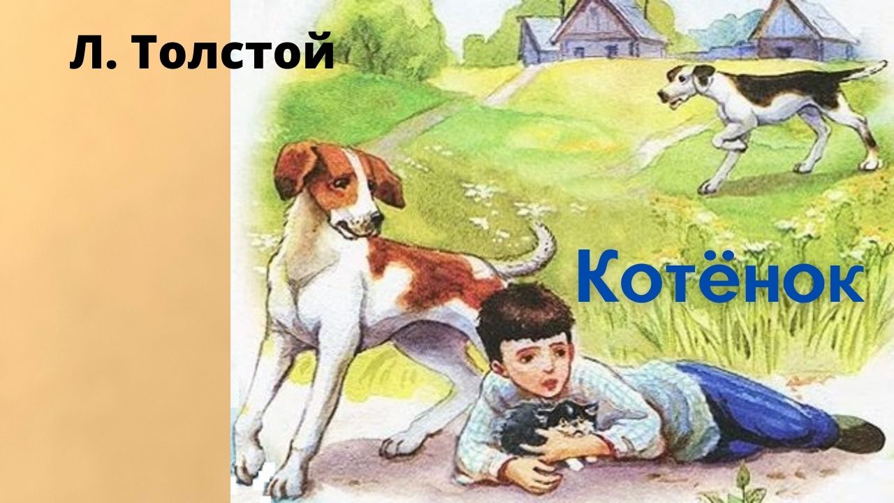 Толстой котенок главные герои