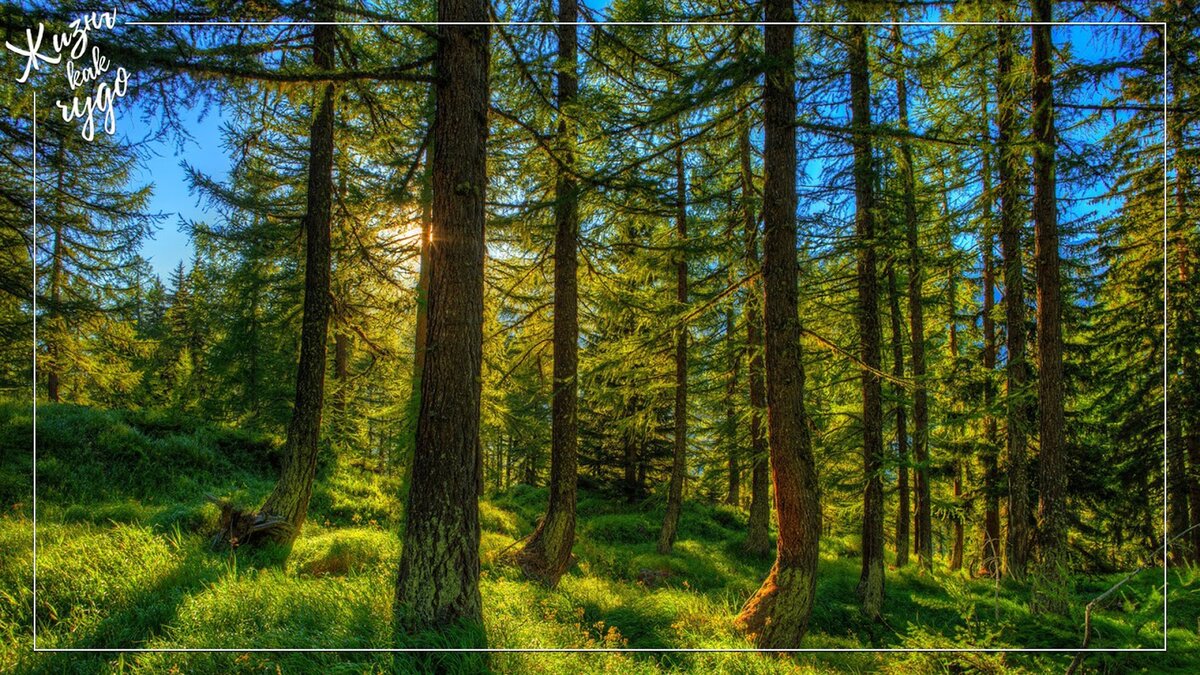 Источник фото: goodfon.ru