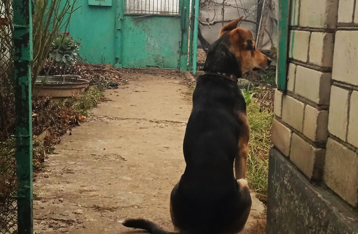 фото взято из личного архива .