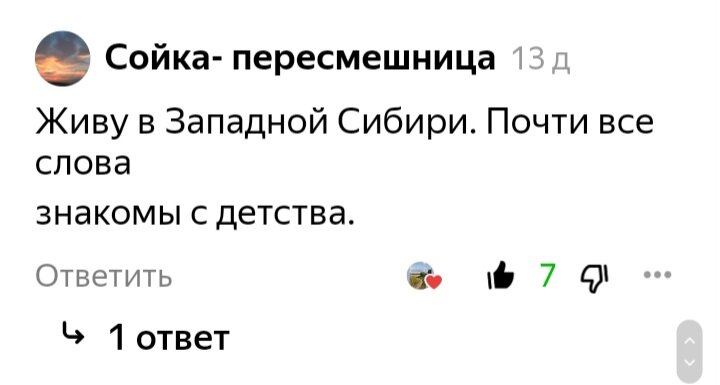Жители Сибири используют те же местные словечки, что и уральцы. Скрин с канала Пути-Дорожки.