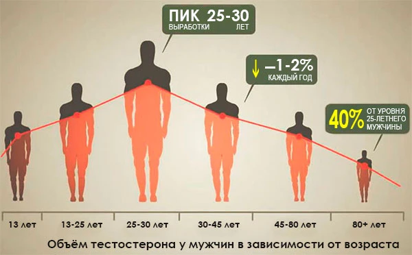 Причины доброкачественной гиперплазии предстательной железы