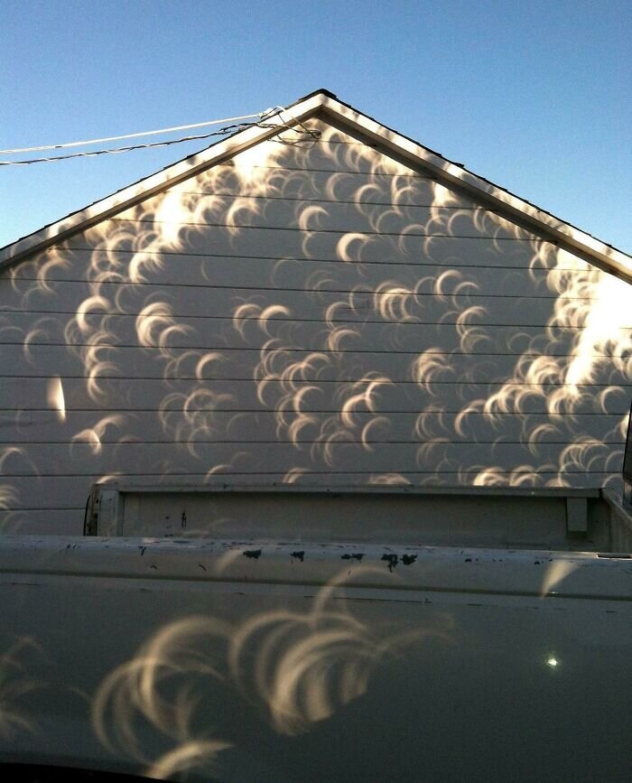Источник: https://www.reddit.com/r/interestingasfuck/comments/fbgfyw/shadows_cast_from_a_tree_during_an_eclipse/