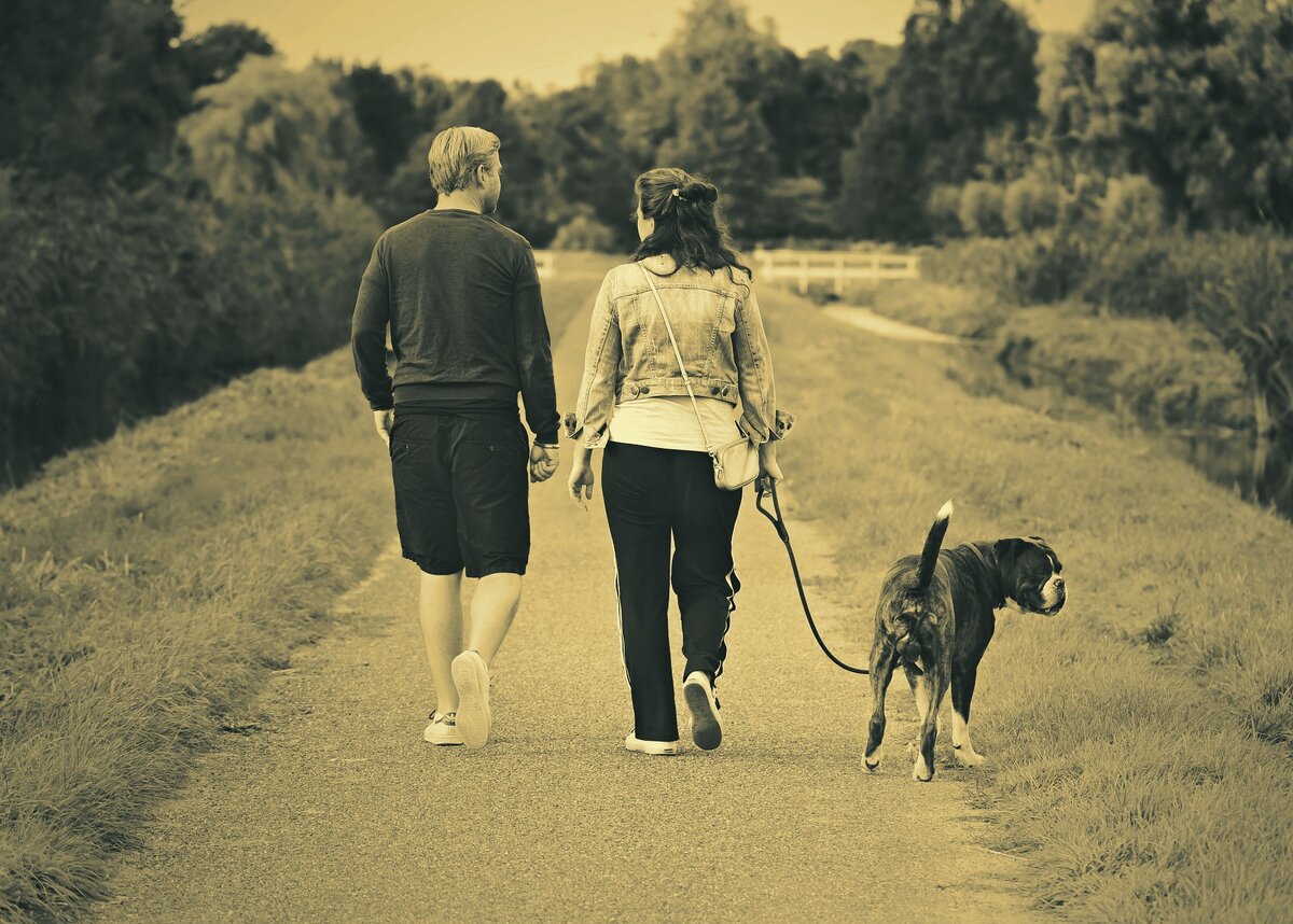 Эти отношения неискренние