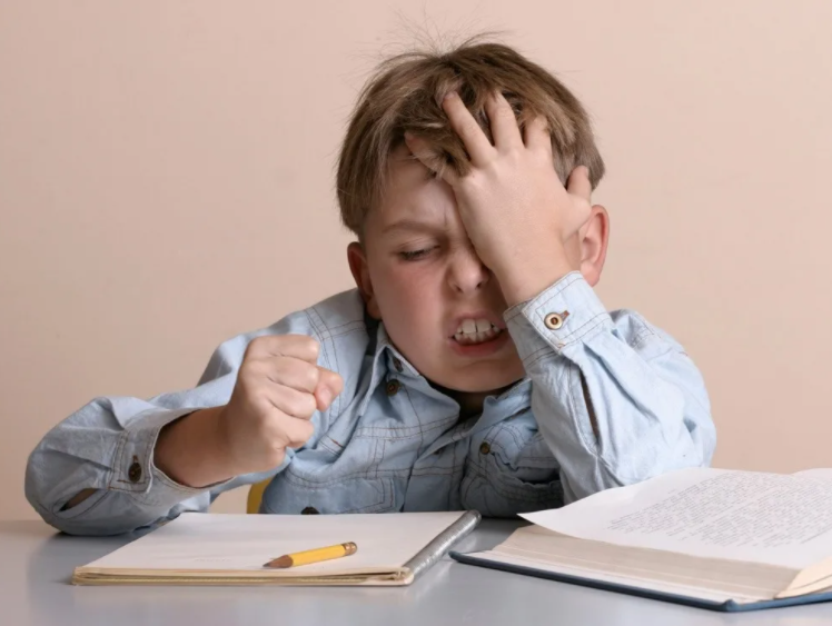 Добавьте описание