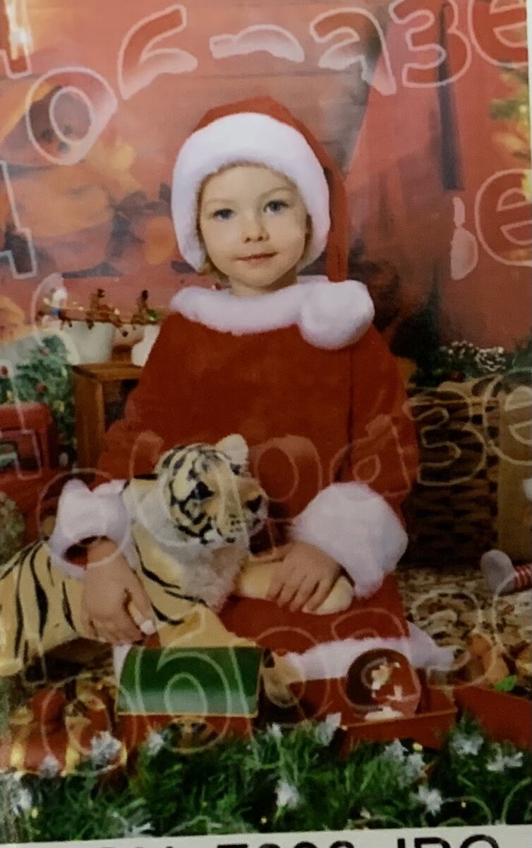 Это образец фото на Новогоднюю тематику🐅🎄. Васюша тут такая милашка🌸. Я уже заказала, чтобы нам сделали😻.