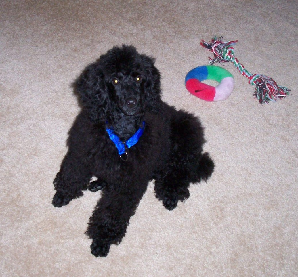 из открытых источников