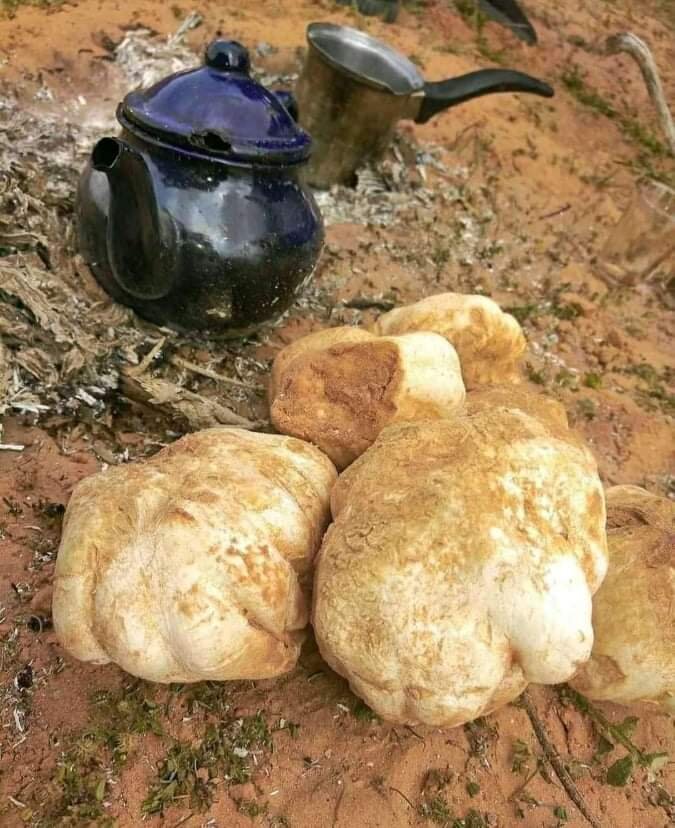 Трюфель. Алжир.