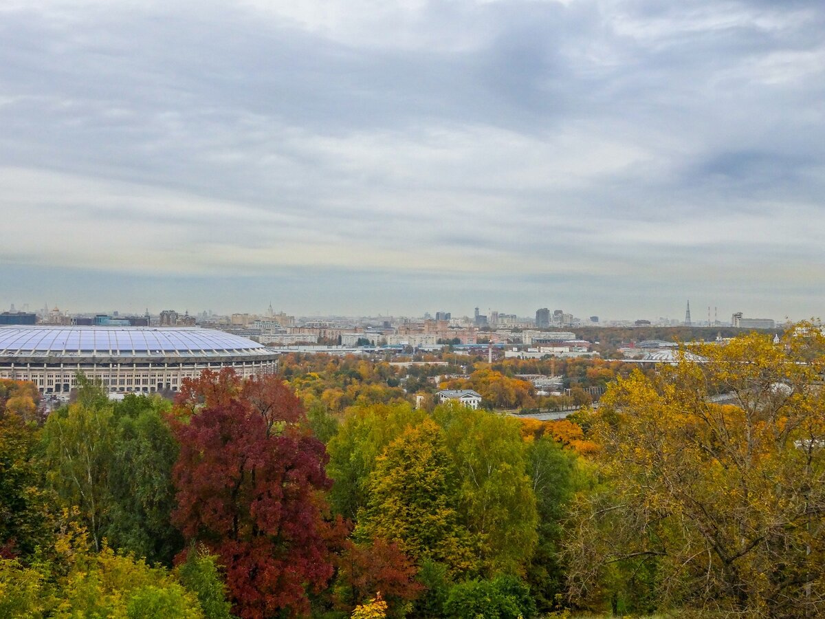 Москва. Коллаж. Источник  -картинки CCO.  