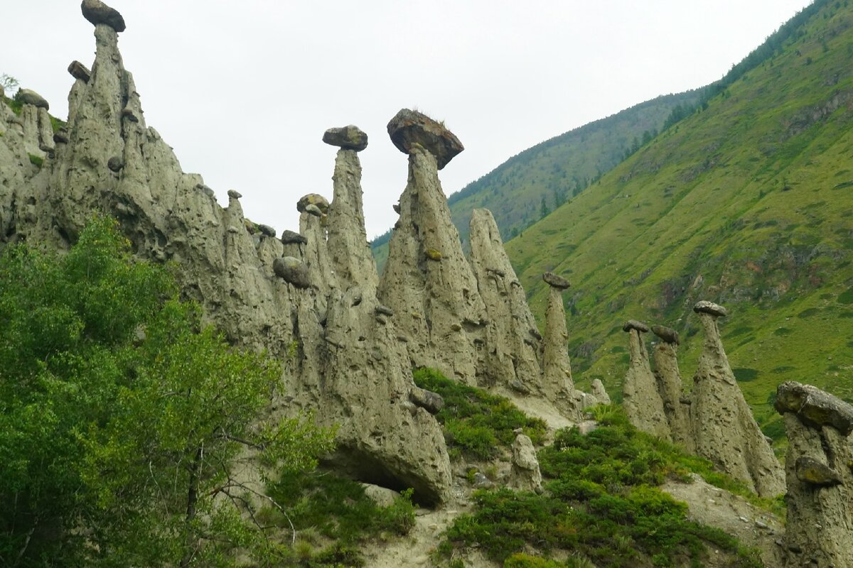 Каменные грибы Алтай Чулышманская Долина