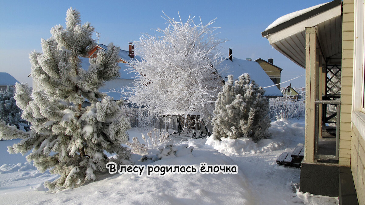 Даже самые скептически настроенные гости придут в восторг от таких забав.  Несколько интересных идей как развлечь гостей | Куклы и кухня Марины  Еремеевой | Дзен