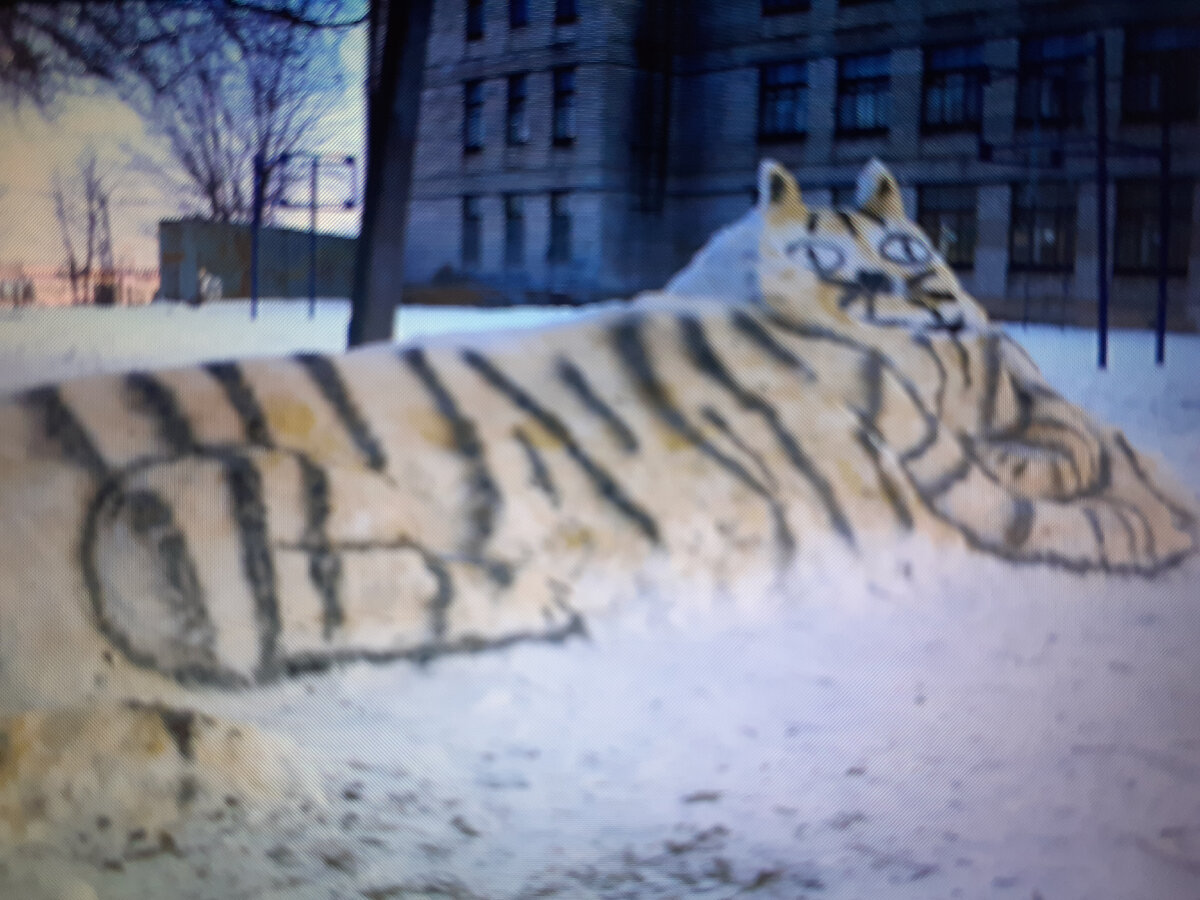 Если родители имеют что-то против кошки дома, то школа научит как обойти запрет. ))) На то она и школа, что бы учить. )))