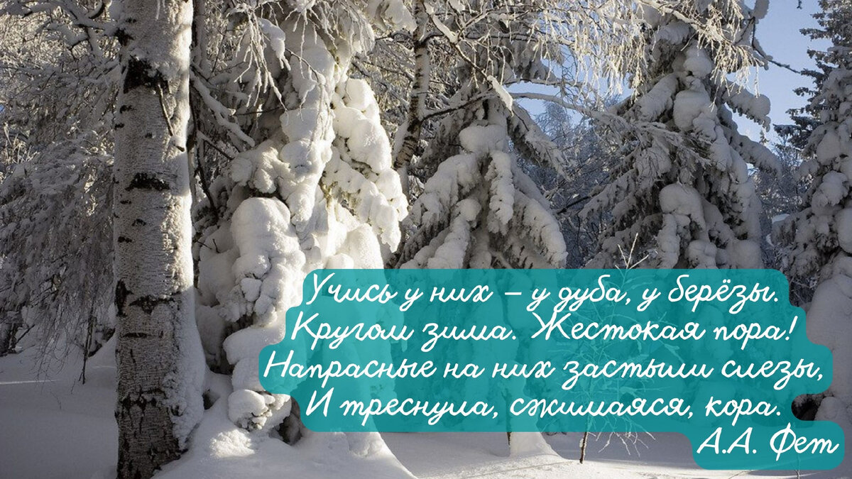 Анализ стихотворения «Учись у них — у дуба, у берёзы» (А. Н. Фет)