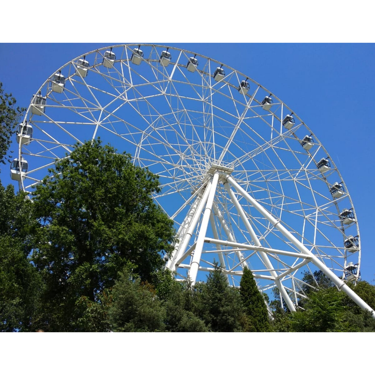 Колесо обозрения в парке. 