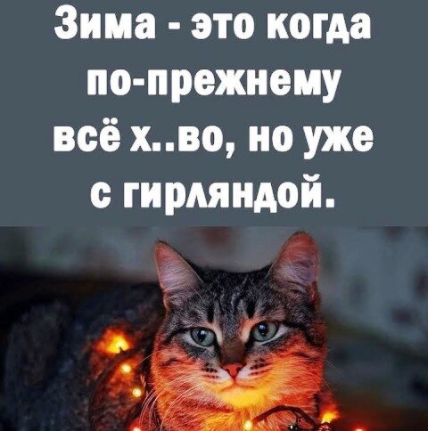 картинка из интернета