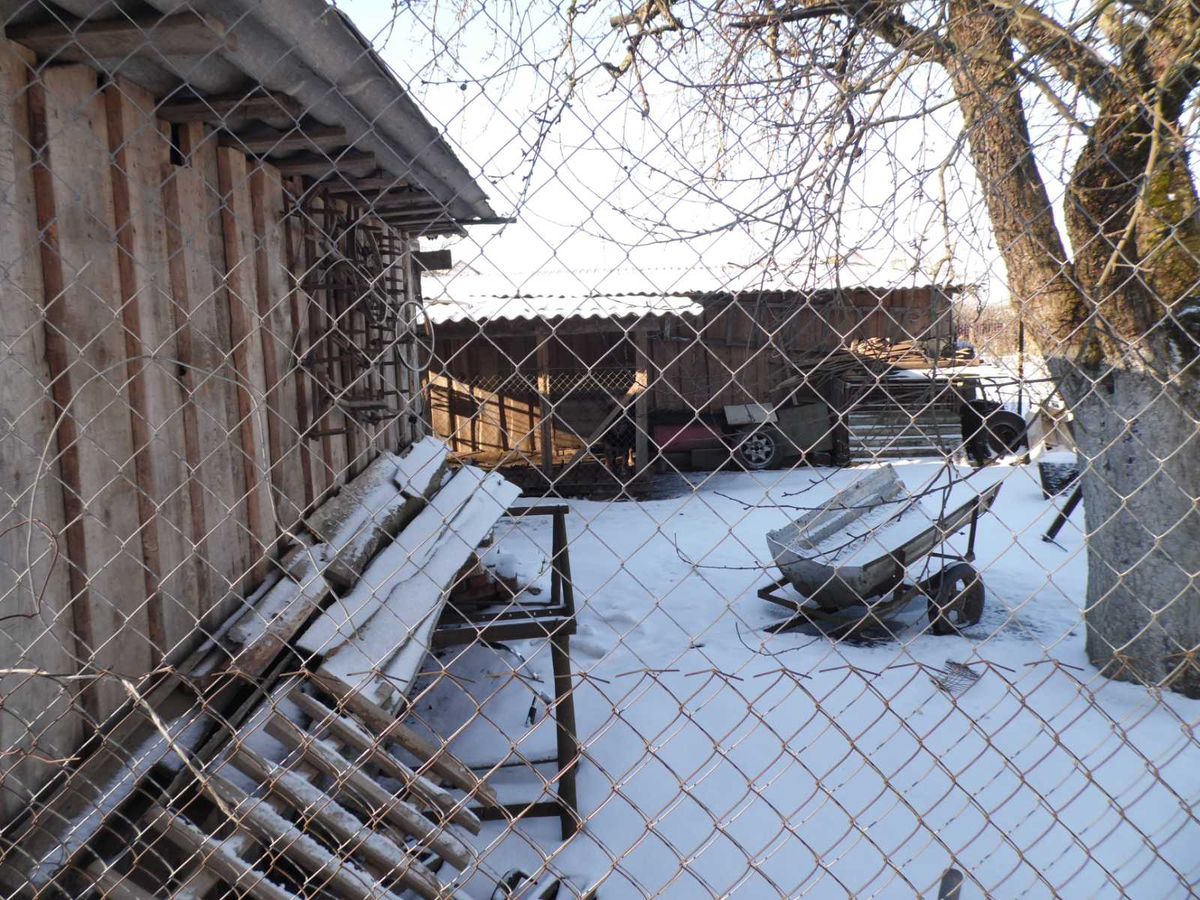 Собаки почти не видно на этой фотке, будет дальше.