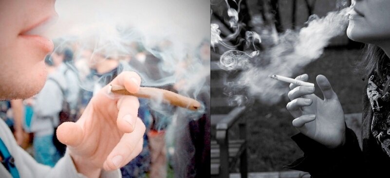 Кто-то желает их поцеловать? При наличии выбора, мало таких найдется, уверен.