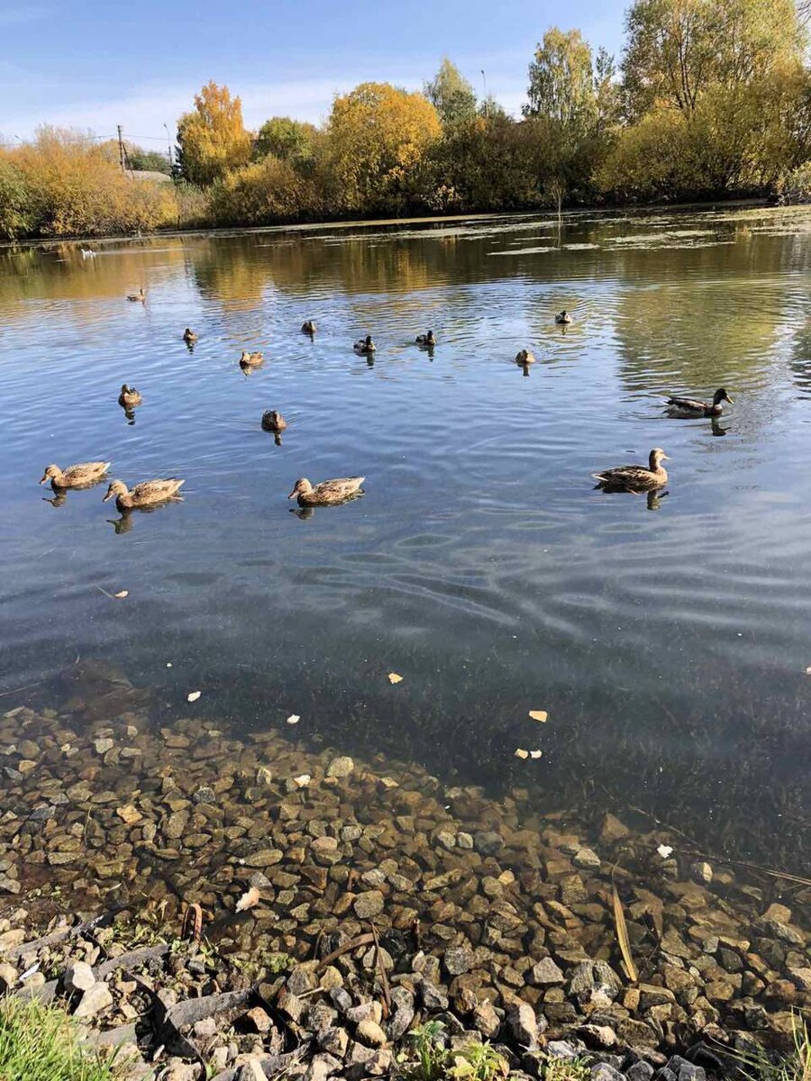 Фото добавлено из семейного альбома. 