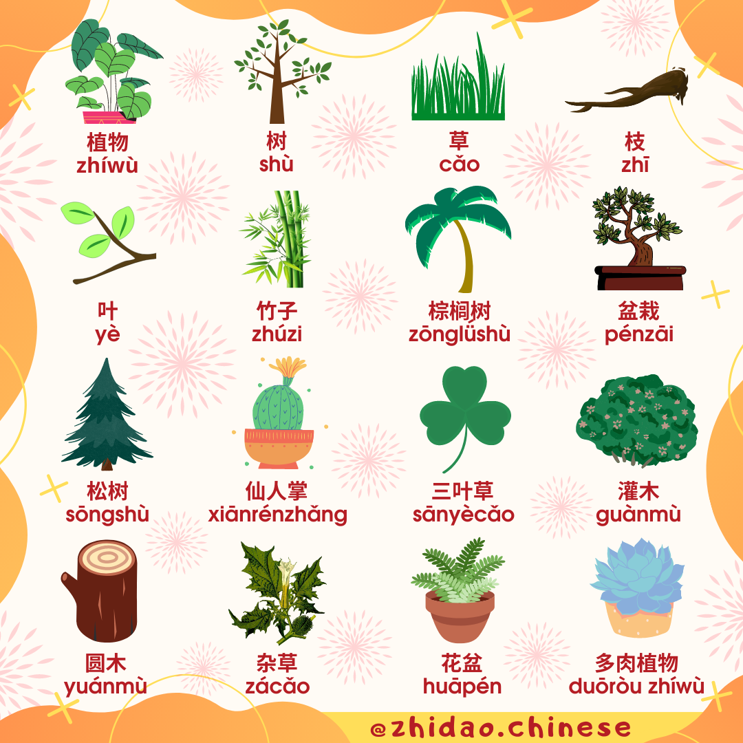 растения в китайском языке. счетные слова в китайском. растения в китайском языке. цвета на китайском языке. счетные слова в китайском языке.