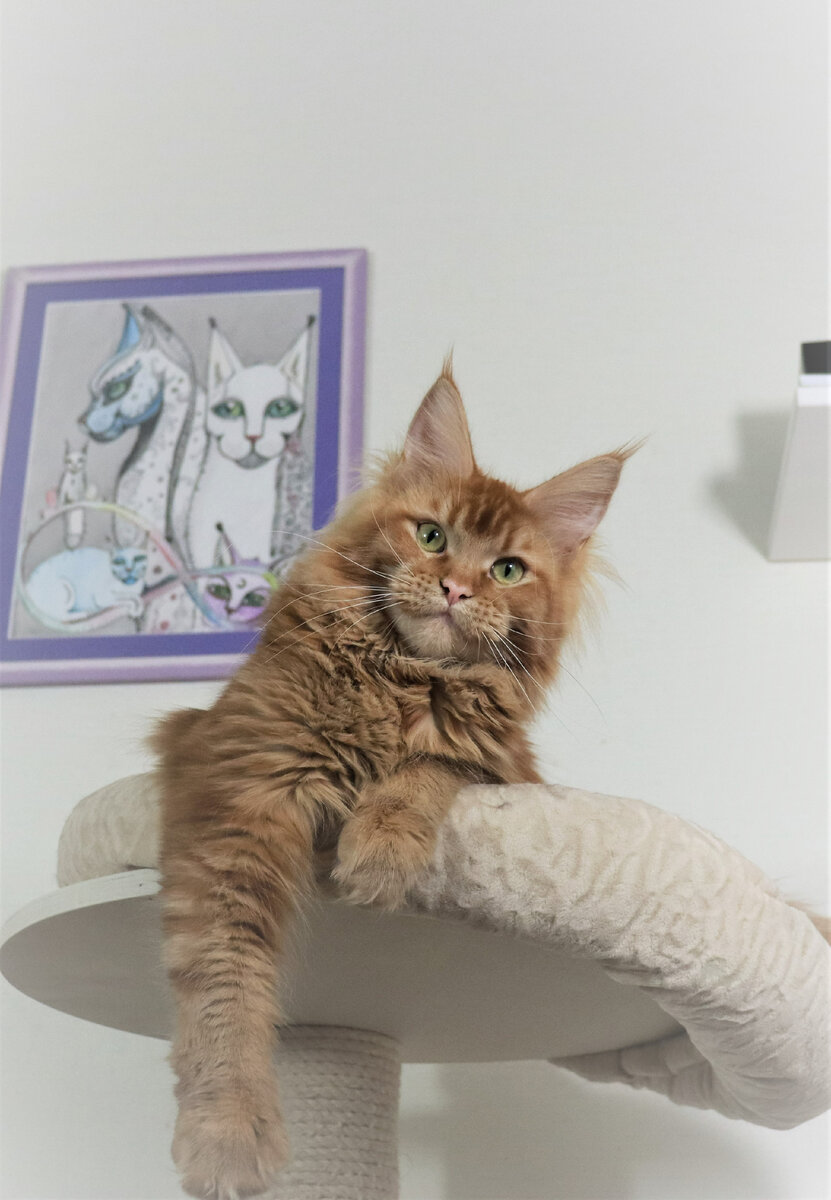 Фото из личного архива.