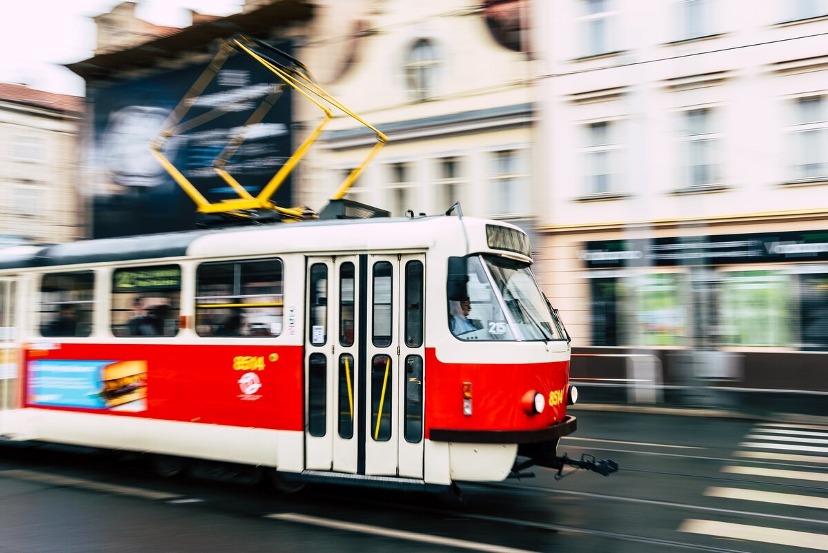 Фото для иллюстрации. Автор Marek Rucinski (Unsplash)