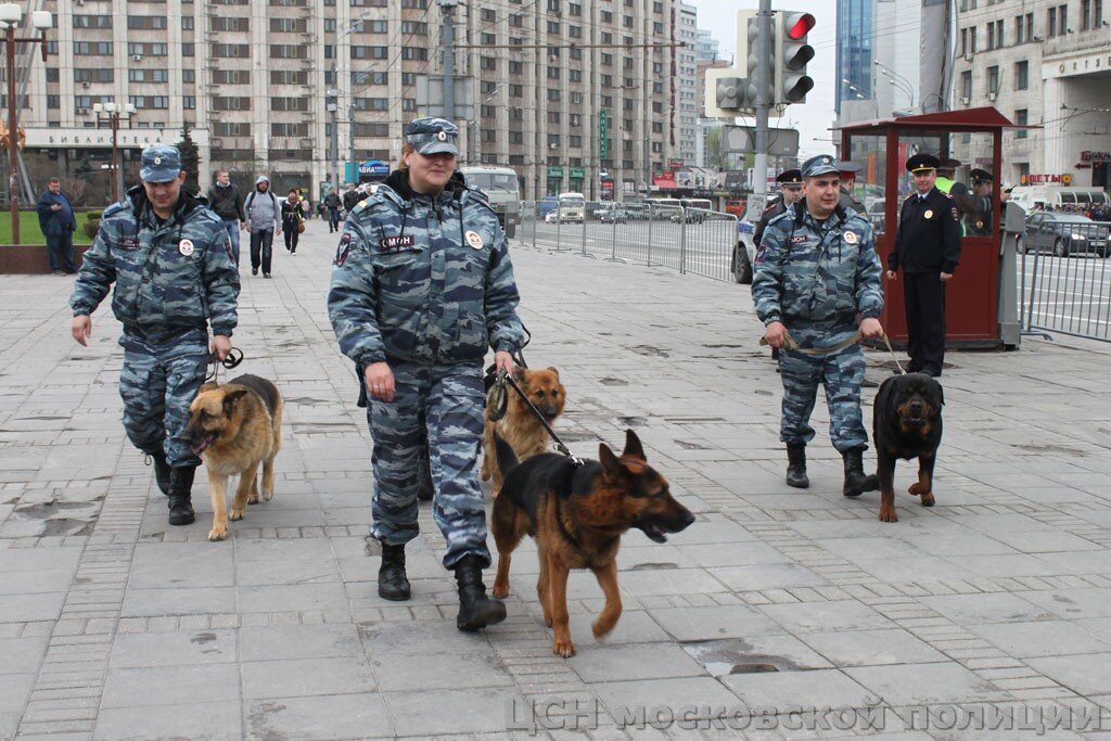 Источник фото: http://csnaz.ru