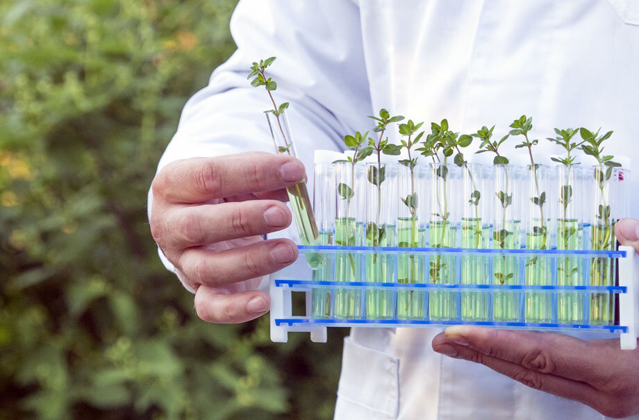 Фото https://22century.ru/