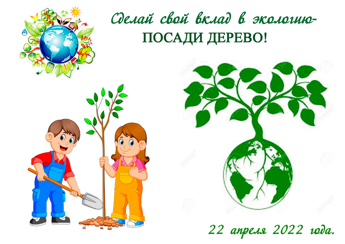 Посадить дерево работу. Посади дерево картинка. Проект посади дерево с детьми. Посадка деревьев картинки для презентации. Посади дерево - открытка.