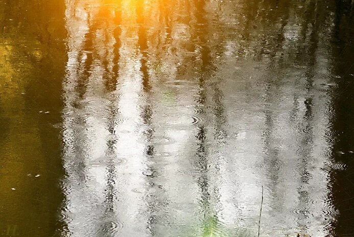 И свет, и мрак