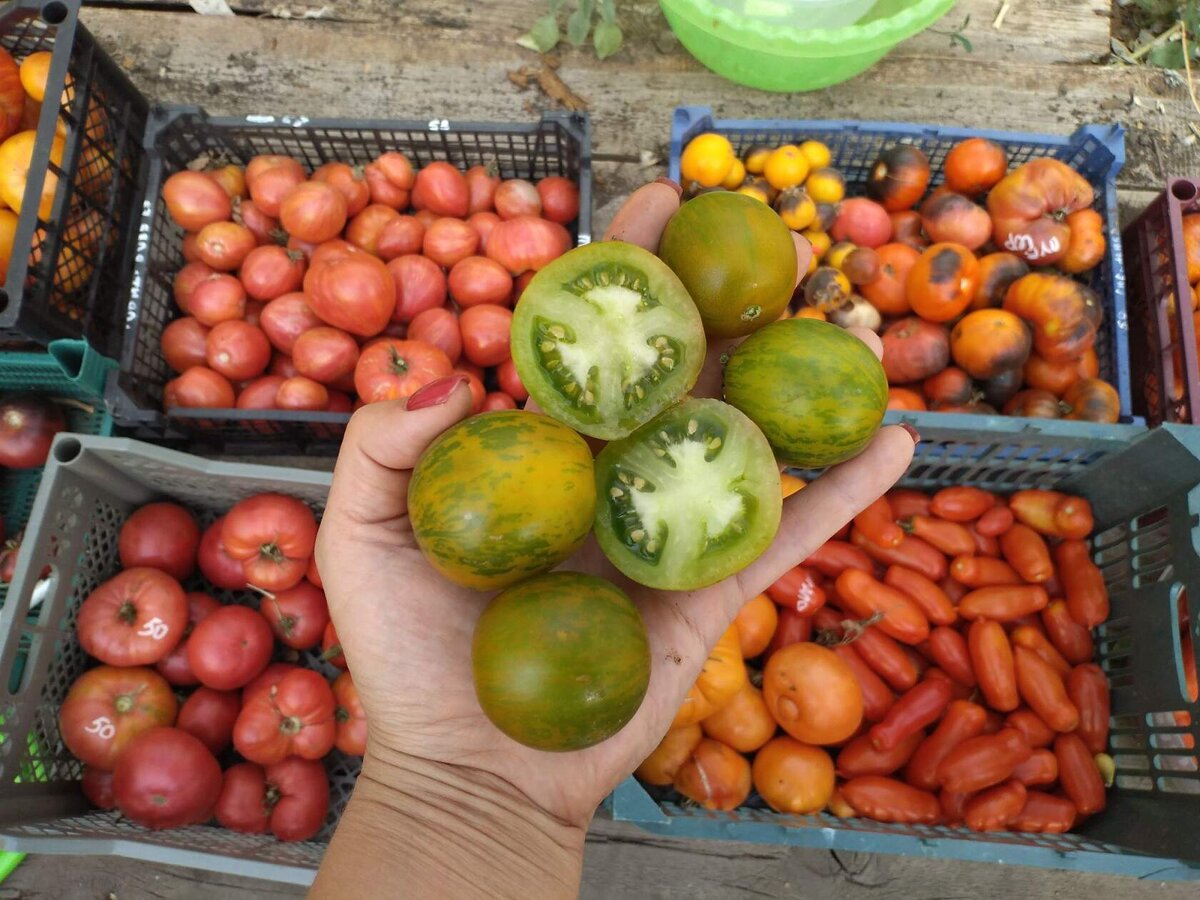 Архивное фото