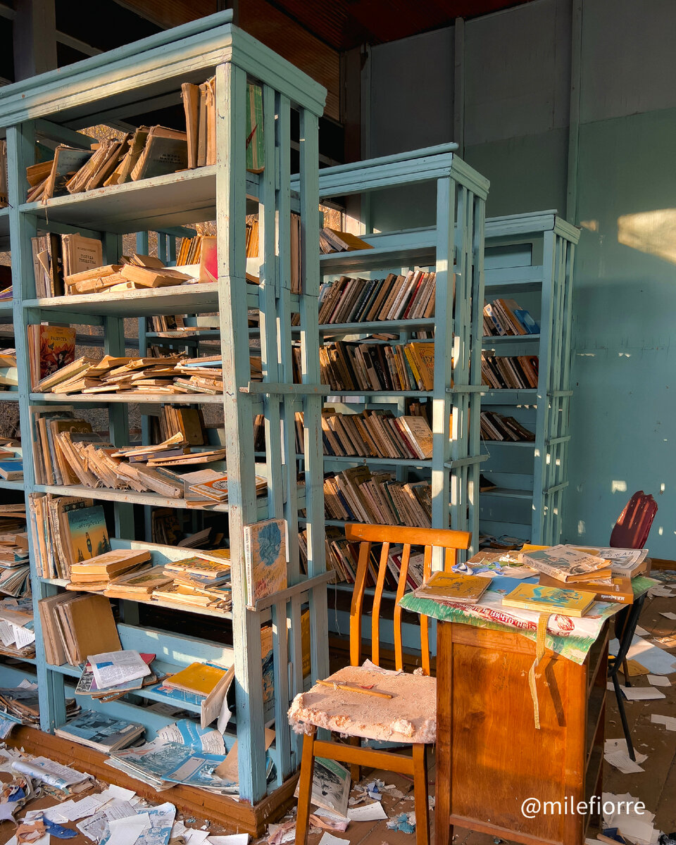 Библиотека. Фото автора