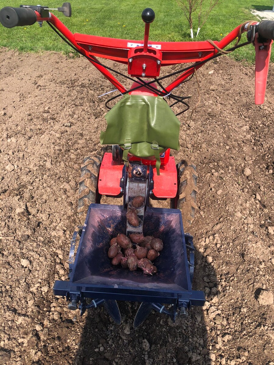                                           Больше картофеля богу картофеля!