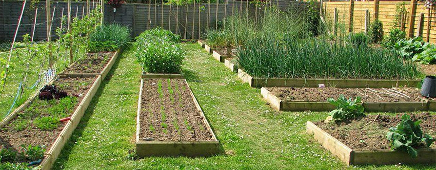 Что планировать.