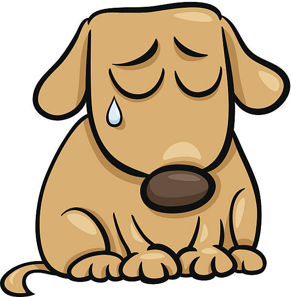 Картинка из источника https://media.istockphoto.com/vectors/sad-dog-cartoon-illustration-vector-id494059175?k=20&m=494059175&s=612x612&w=0&h=DZSc3Tow29THc9nfSe_sEQWV6Cd5BbFlXoTOG2Z4OVE=