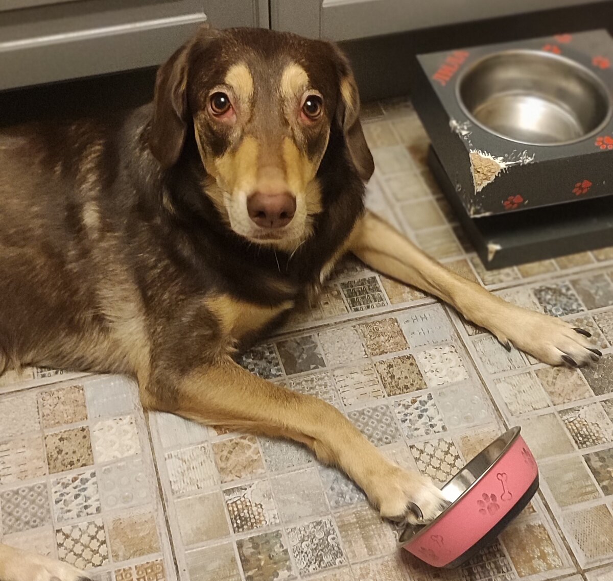 Вечно голодная Леечка🔥↙️