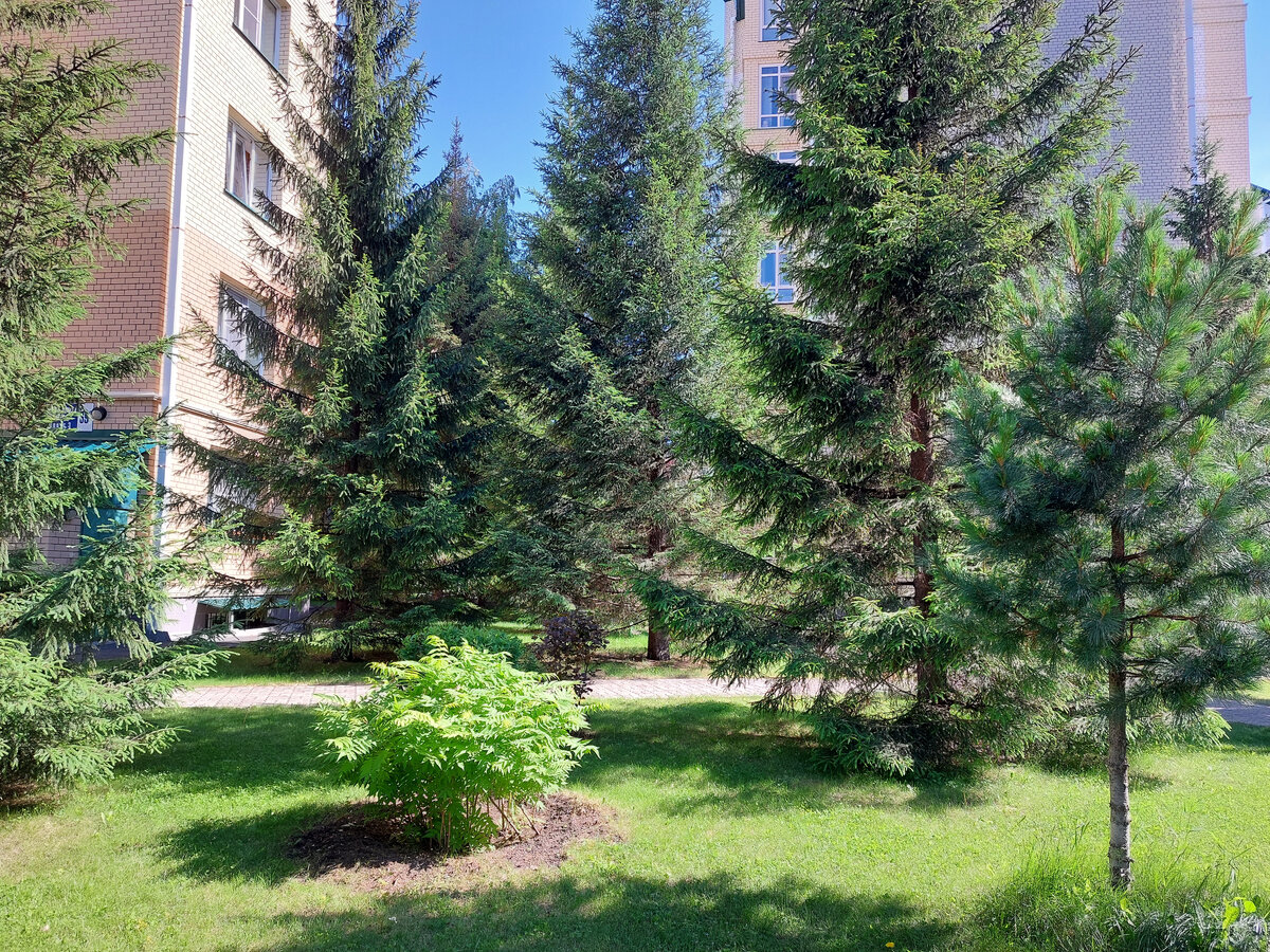 Вроде бы и очень хорошо у дочки в ТСЖ, а тоже куда-то съездить хочется...