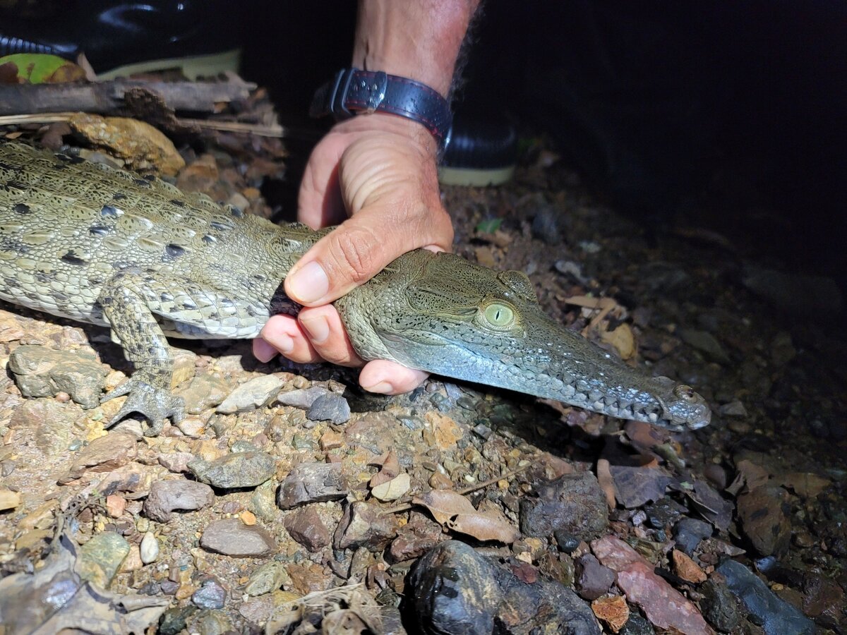 Братан, перестань. Я вырасту, ты – нет.