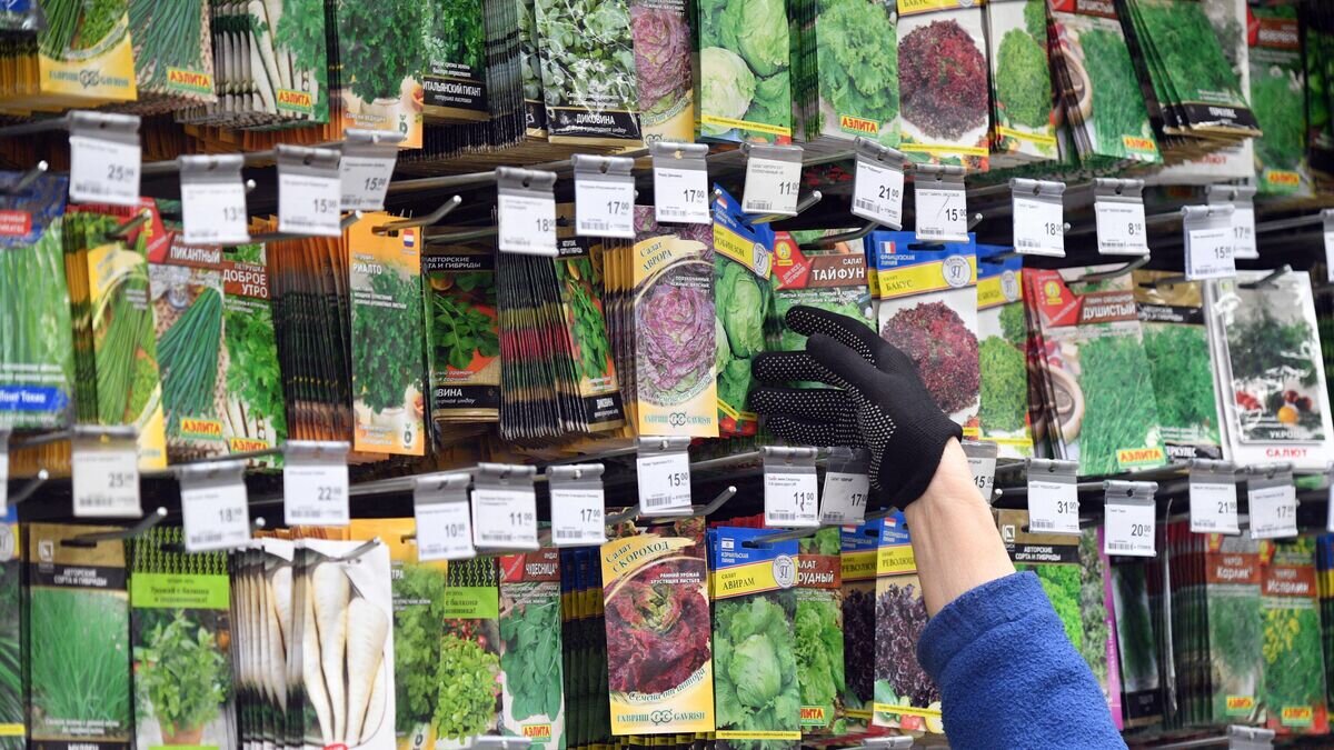    Продажа семян овощных культур в Москве © РИА Новости / Евгений Биятов