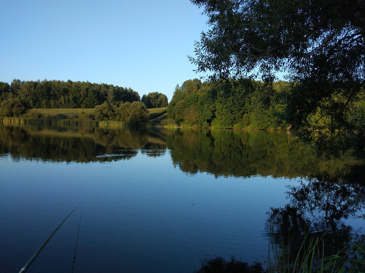 Какая у нас красивая природа!