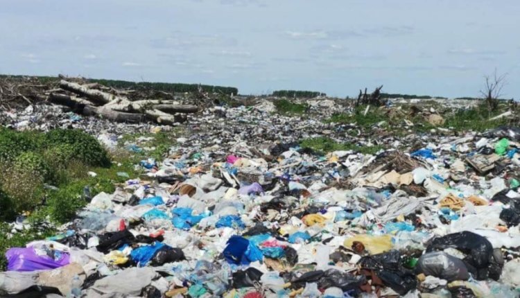 Фото: @radionovasg