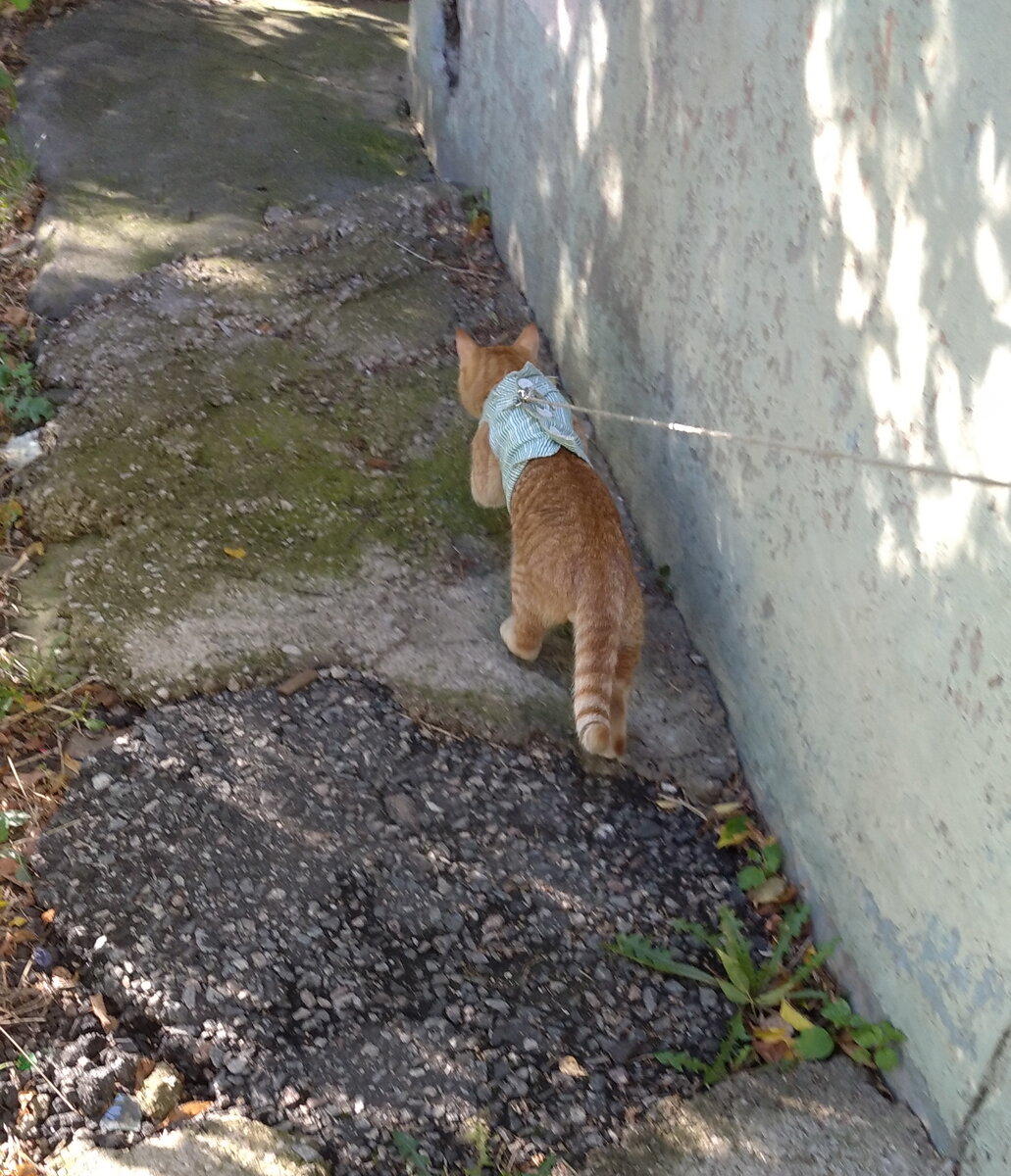 Личное  фото.