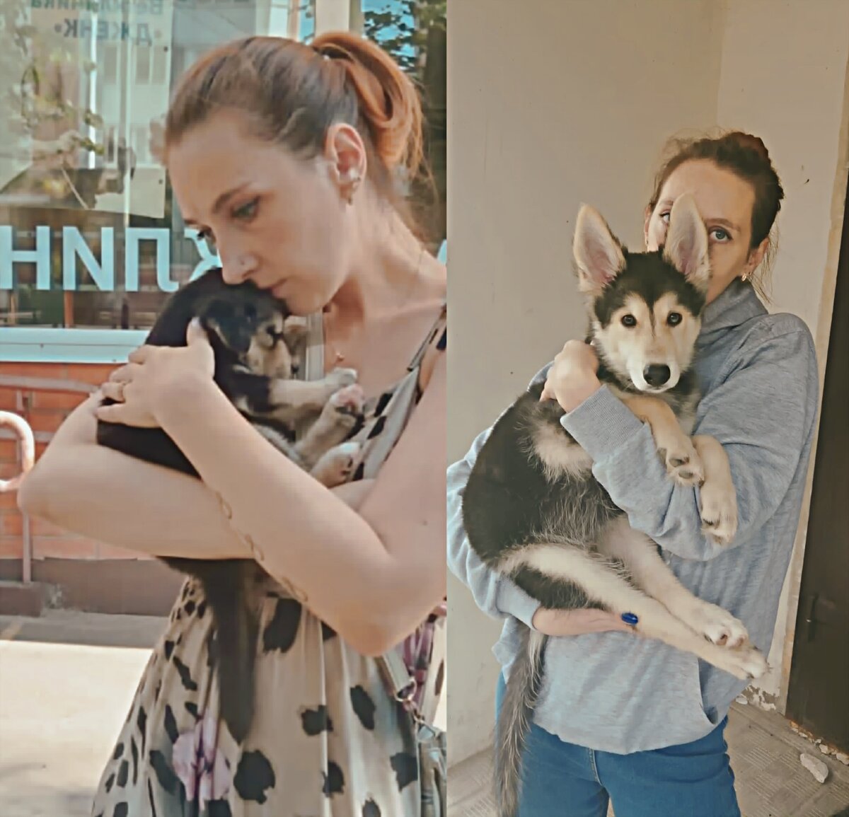 Галя и Цербик)) Цербик не мой подопечный, щенок найденный в коробке на свалке. Галина взяла его себе, малыш много болел, долго лечился и Галя всегда была рядом с ним. не смотря на траты денег и времени. Именно о таких ручках для своих подопечных мечтает каждый куратор.